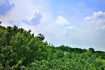 爱游戏app下载 -[?![*?壿?屗Rd?酢!J€a佨TS€鋙Os赳B樛宅>x*,?＜.2虞?涫)JP幀／?)?* 